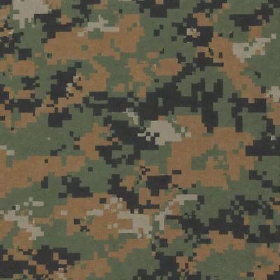 Classic Digital camo — Call of Duty: Modern Warfare (2019)