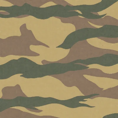 Desert Cat camo — Call of Duty: Modern Warfare (2019)