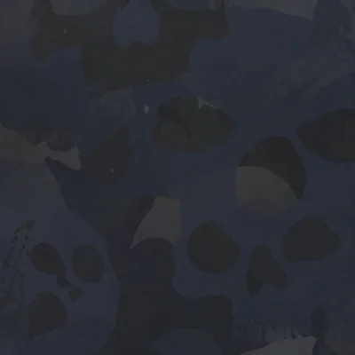 Haunting camo — Call of Duty: Modern Warfare (2019)