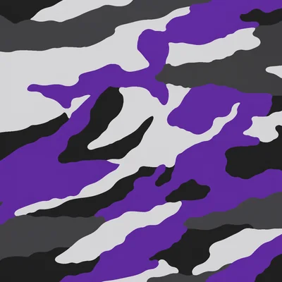 Los Angeles Guerrillas camo — Call of Duty: Modern Warfare (2019)