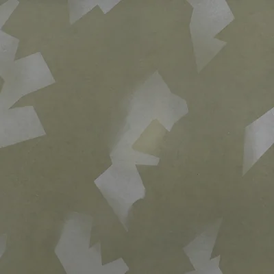 Rip N'Tear camo — Call of Duty: Modern Warfare (2019)
