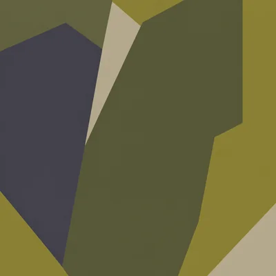 Ruins camo — Call of Duty: Modern Warfare (2019)