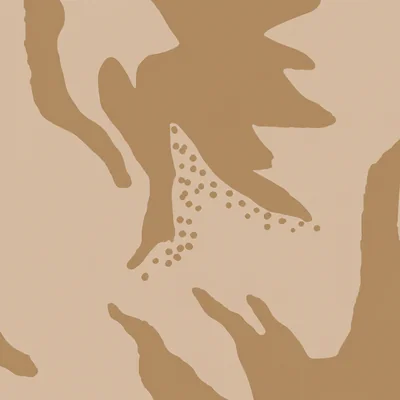 Sand Dance camo — Call of Duty: Modern Warfare (2019)
