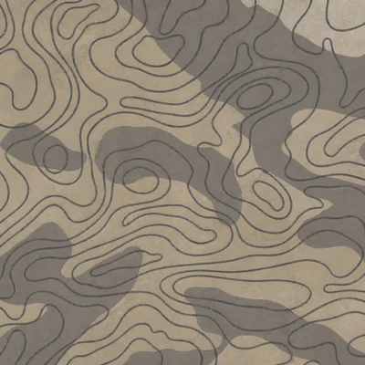 Sandstorm camo — Call of Duty: Modern Warfare (2019)