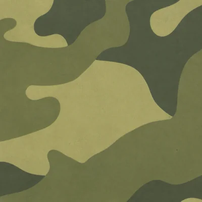 Swamp camo — Call of Duty: Modern Warfare (2019)