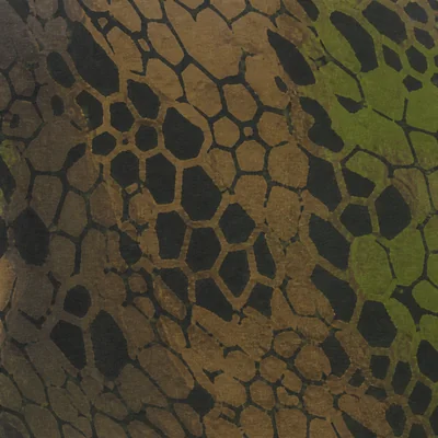 Trailblazer camo — Call of Duty: Modern Warfare (2019)