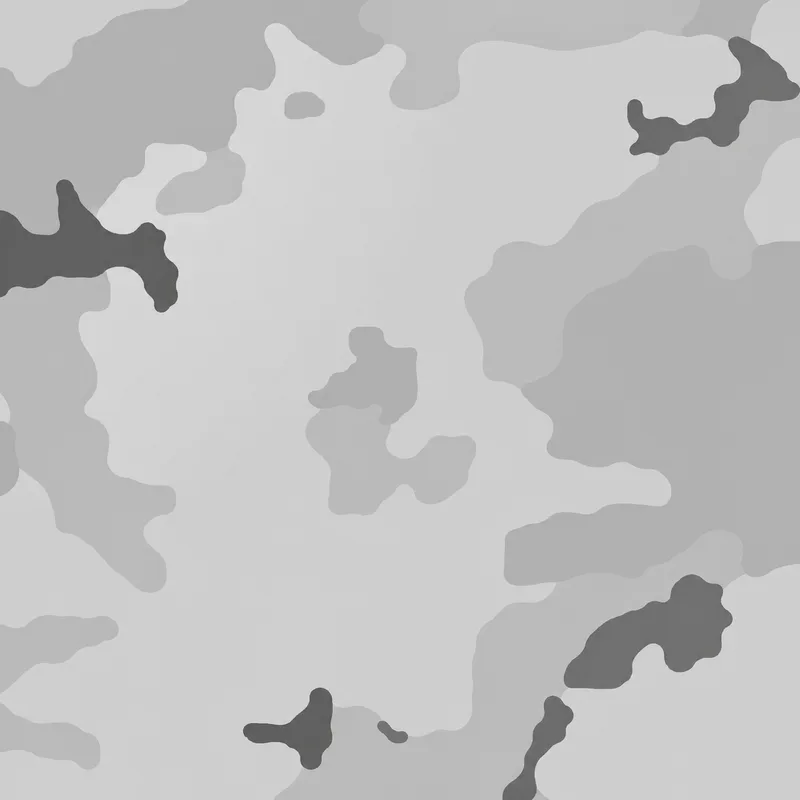 Arctic camo — Call of Duty: Modern Warfare 2 (2009)