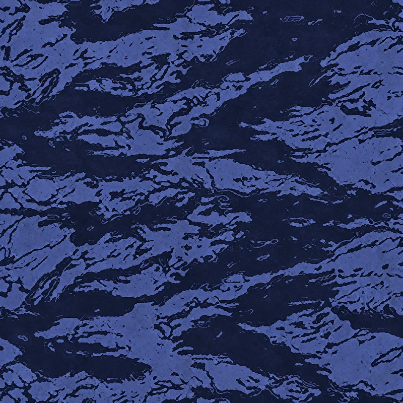 Blue Tiger camo