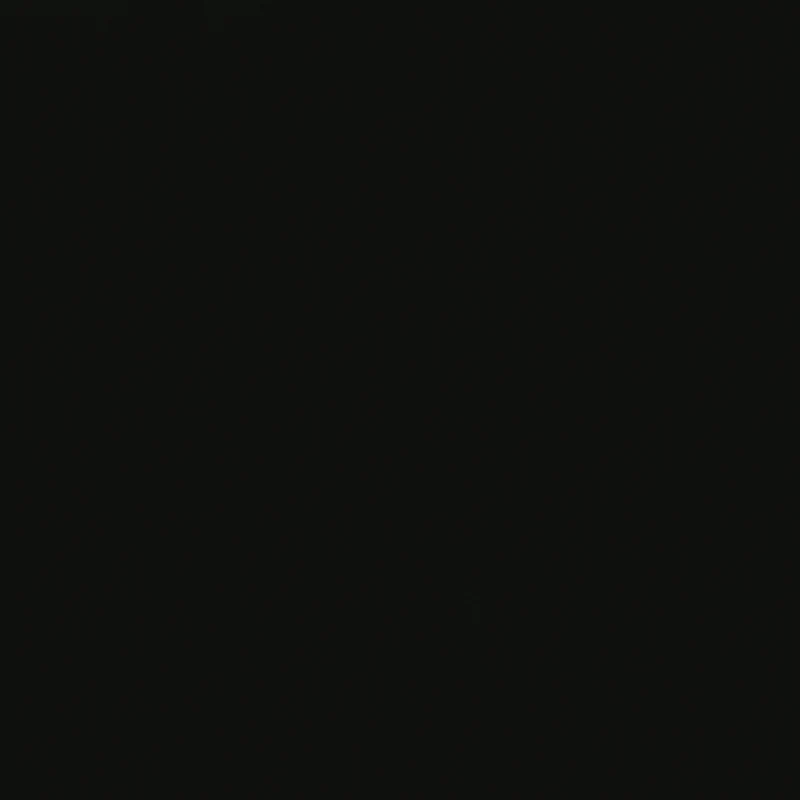 Charcoal camo — Call of Duty: Modern Warfare II (2022)