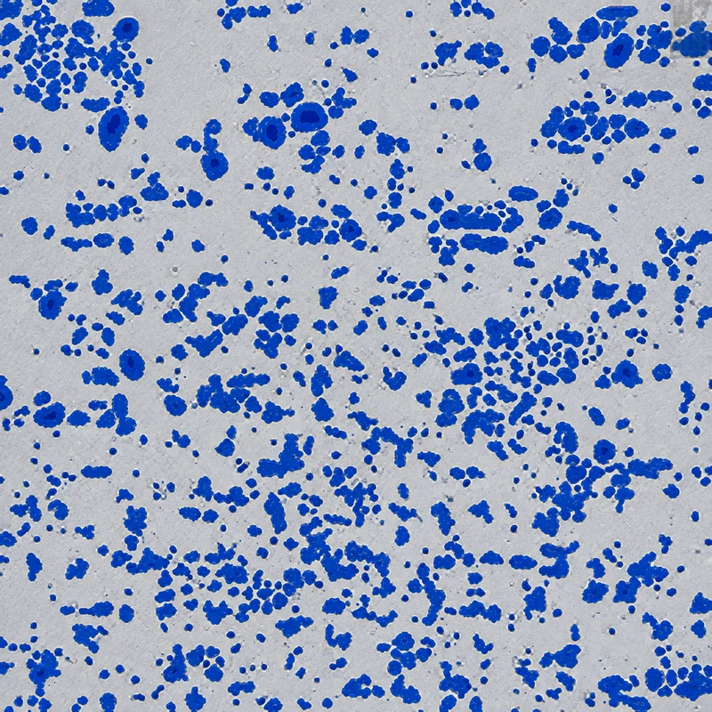 Germinate camo