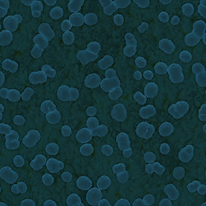 Germ Factory camo