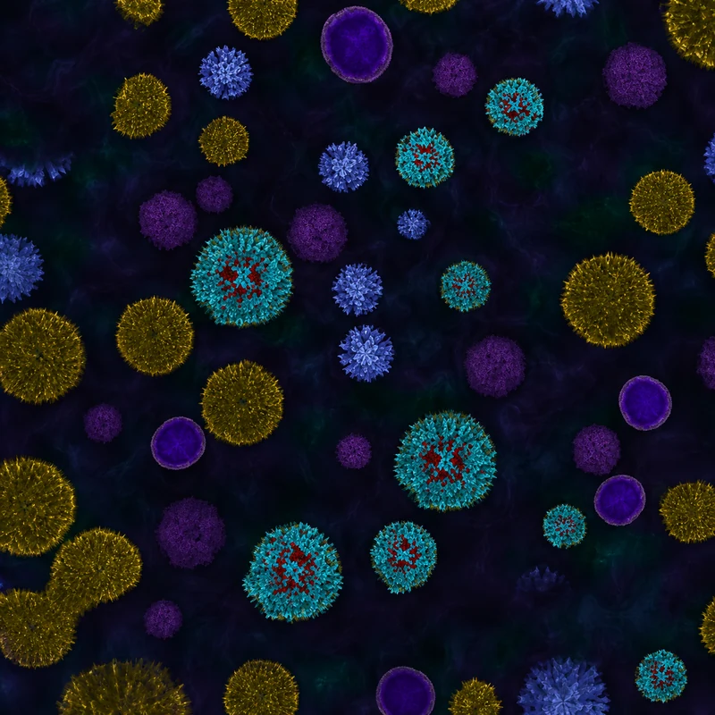 Pestilence camo