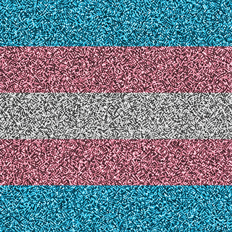 Pride 6 camo