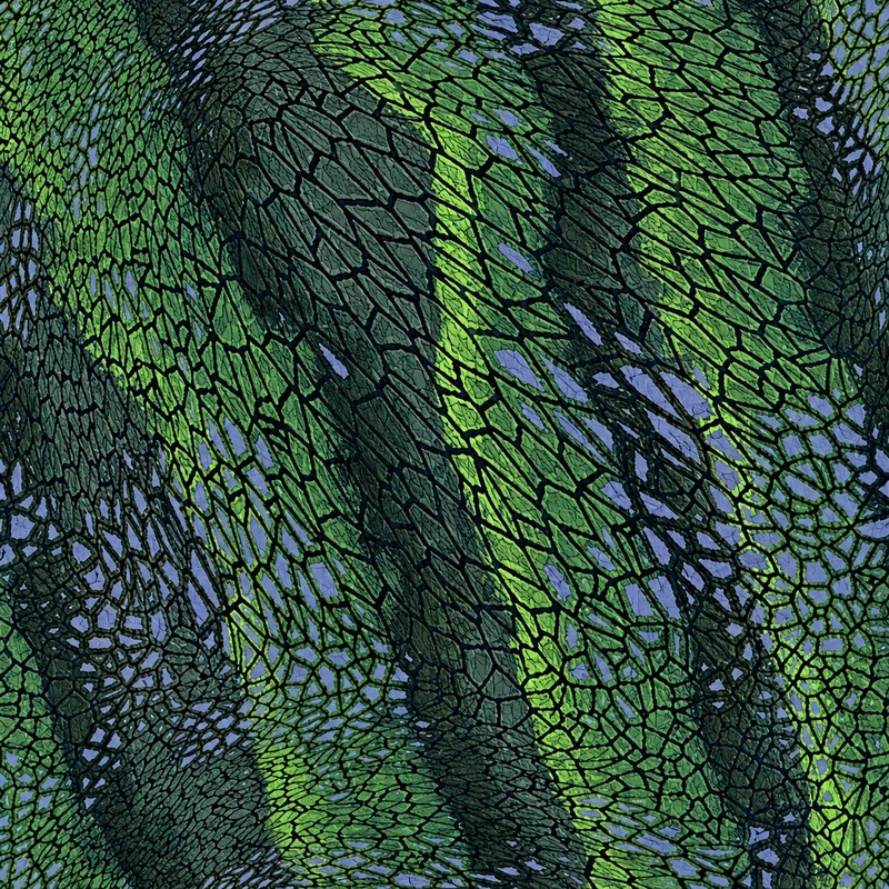 Tarragon camo