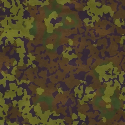 Putrescence camo — Call of Duty: Vanguard