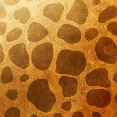 Gold Cheetah camo — Call of Duty: WWII