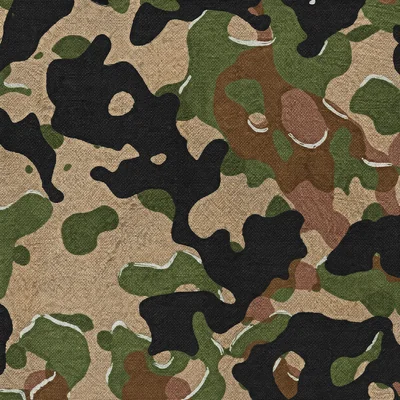 Leibermuster camo — Call of Duty: WWII