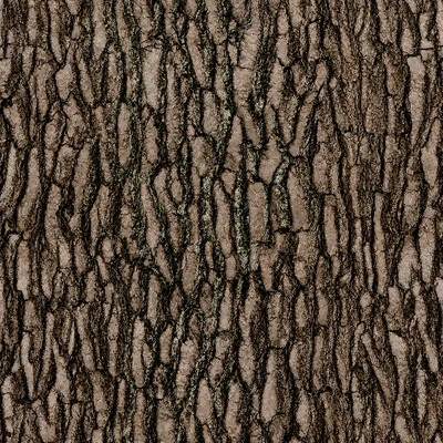 Treegate camo — Call of Duty: WWII