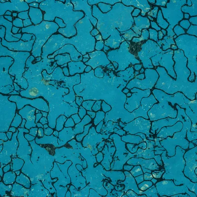 Turquoise camo — Call of Duty: WWII
