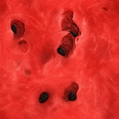 Watermelon camo — Call of Duty: WWII