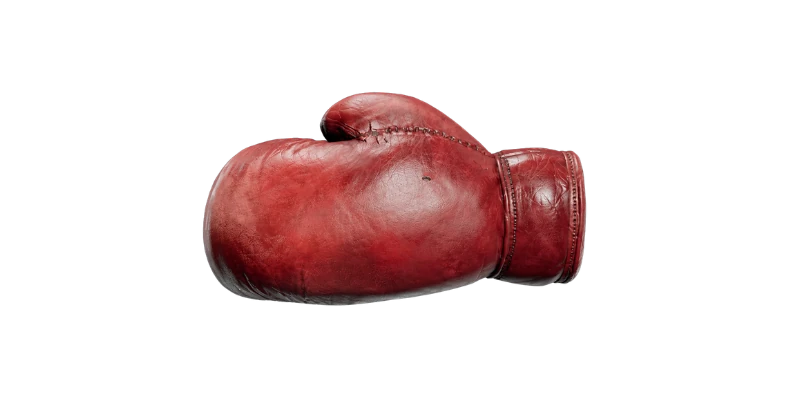 Boxing Gloves — Call of Duty: Black Ops 6 Melee