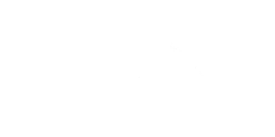 .44 Magnum — Call of Duty: Modern Warfare 2 (2009)