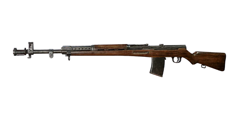 AVS-36 — Call of Duty: WWII Rifles