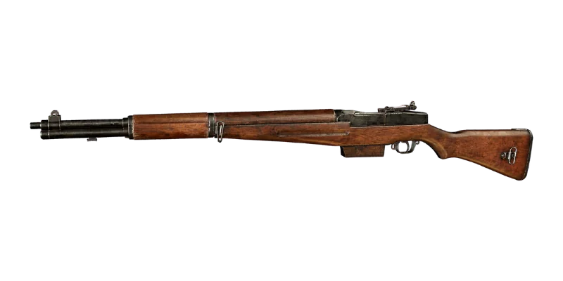 Type 5 — Call of Duty: WWII Rifles