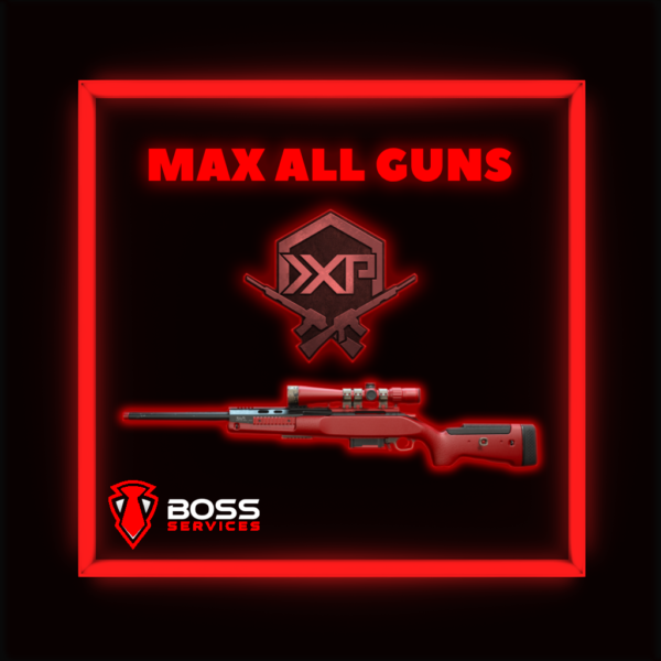 MW2 Max All Guns Service for All Platforms.