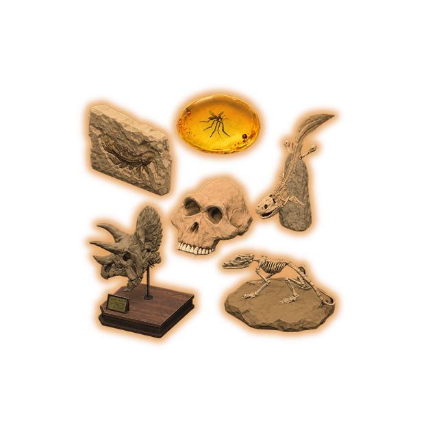 Fossils