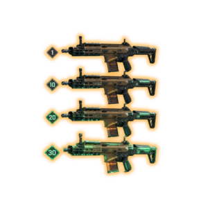 Weapon Leveling