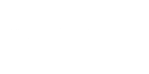 FG42 weapon