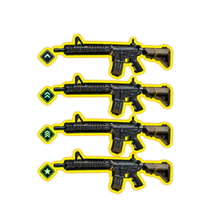 Weapon Leveling
